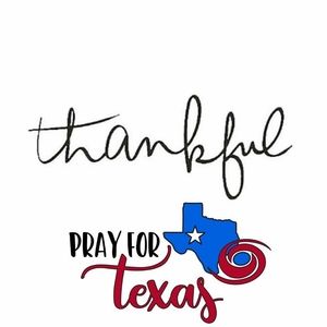 Meet your Posher, Timolin